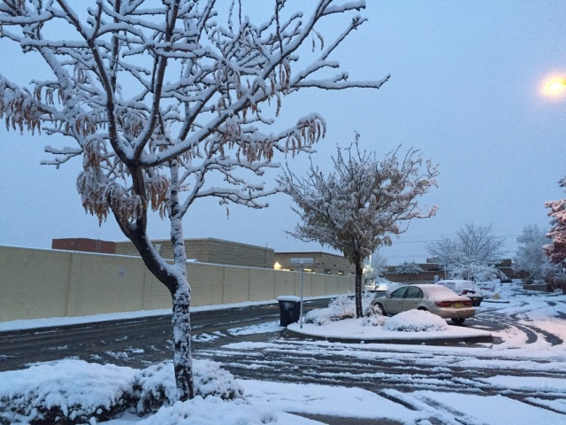 Snow in Albuquerque